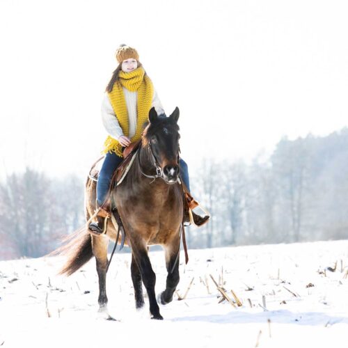 pferdeshooting, pferdefotografie, pferdeshooting hamburg, pferdefoto, professionelle Pferdefotos, professionelles pferdeshooting, individuelle pferdefotos, pferdeportraits, friese fotografie, portrait mit Pferd, Shooting mit Pferd, pferdefotografie im Schnee, pferdeshooting haflinger, sinnliches pferdefoto